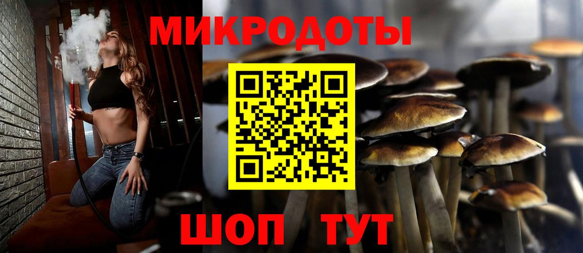 Псилоцибиновые грибы мицелий Зеленодольск
