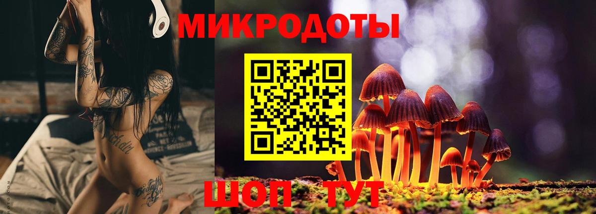 Галлюциногенные грибы Psilocybe  Вход с VPN  Псилоцибиновые грибы мицелий  Зеленодольск 